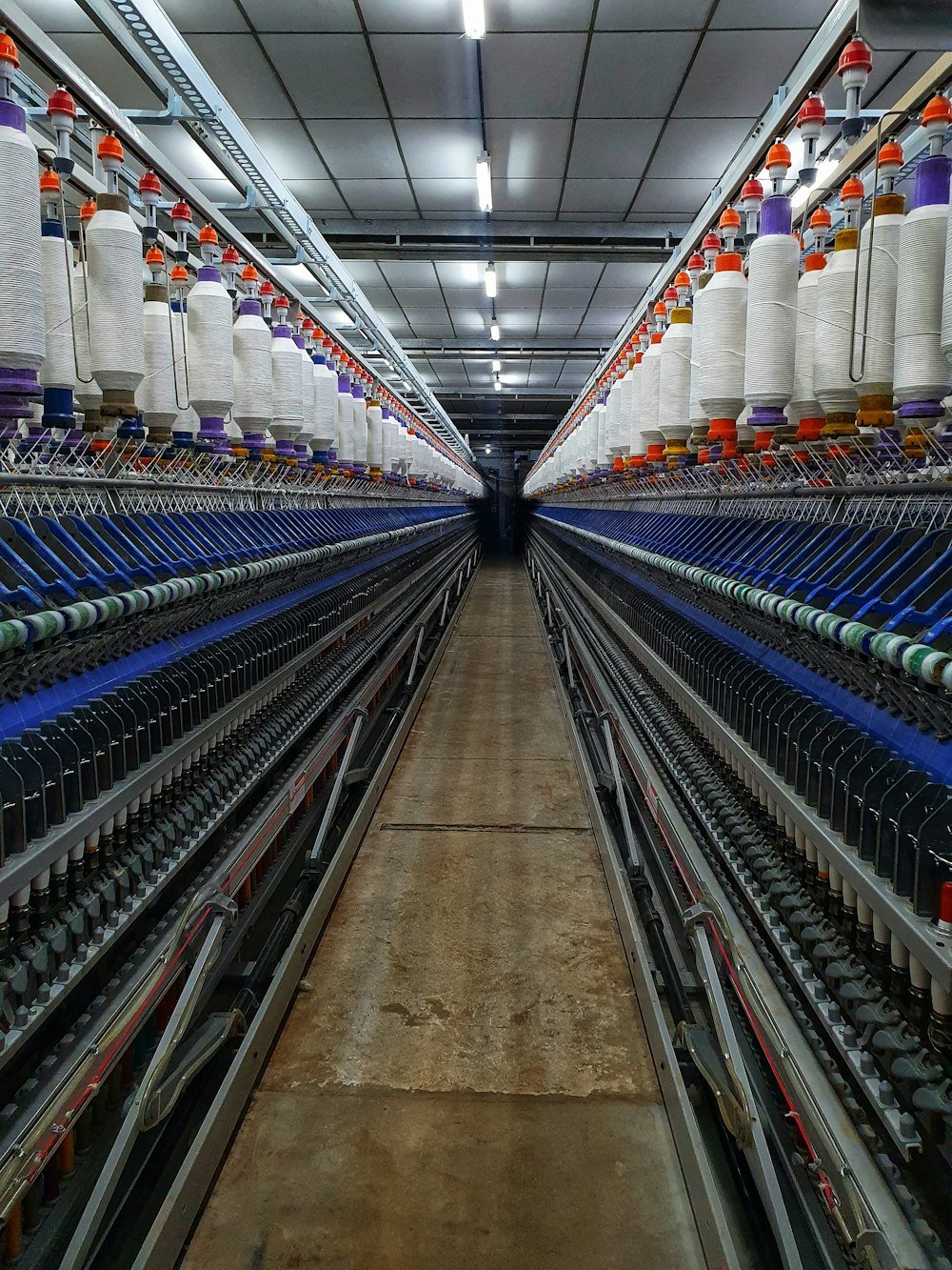 Rows of knitting machines and yarn cones at the mill